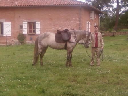 mes amour